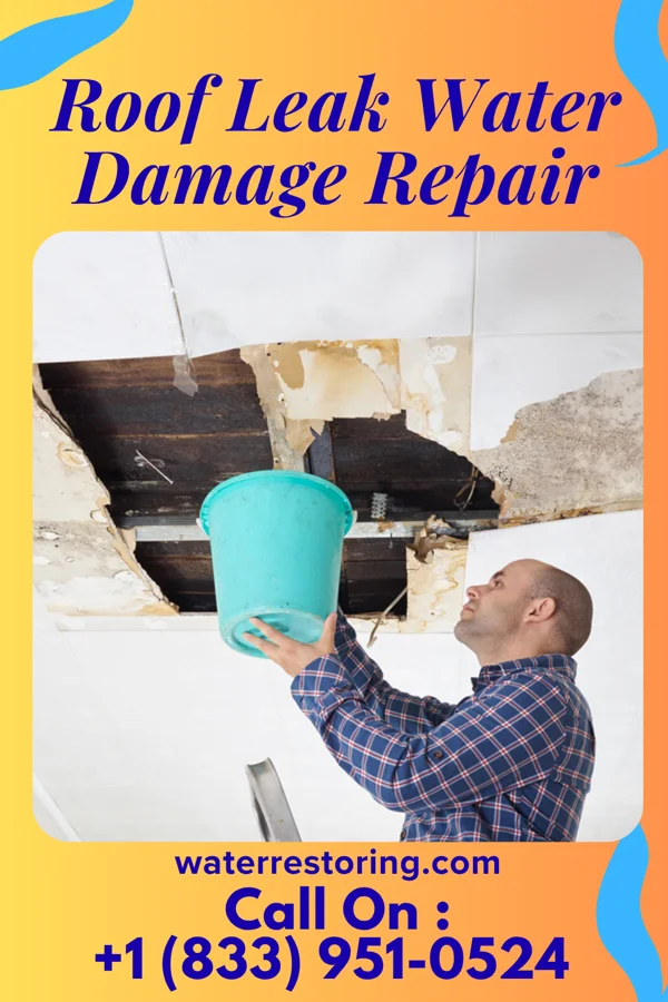 Roof Leak Water Damage Repair in Richfield, UT